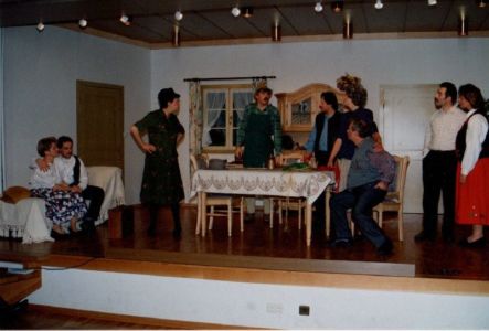 1995 293